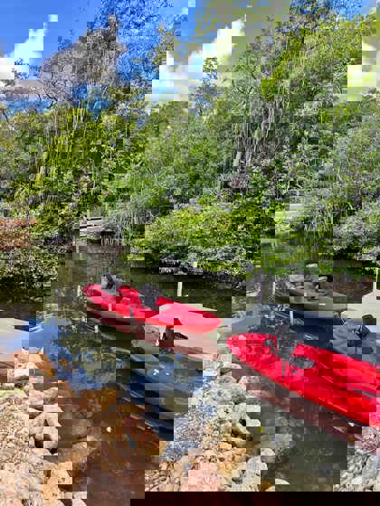 /rif-mangrove-park-2.jpg